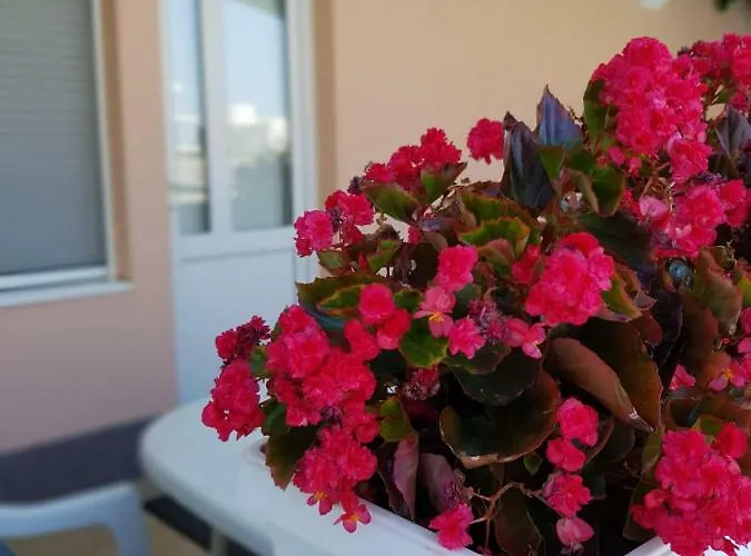 Ferias Appartement